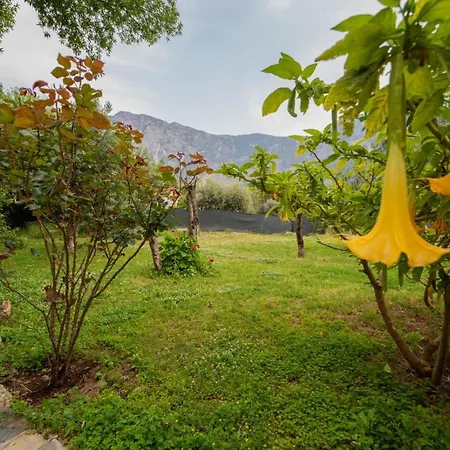 Вилла Alemdaroglu Secret Garden Фаралия